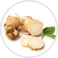 Korean Ginseng